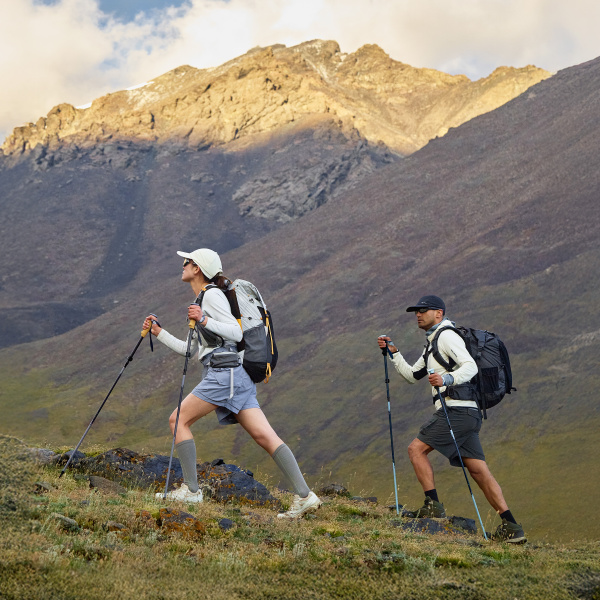 Палки треккинговые Naturehike Sunsia 3-EXT, карбон, 5-секционные, 115-135 см, голубые, 2 шт