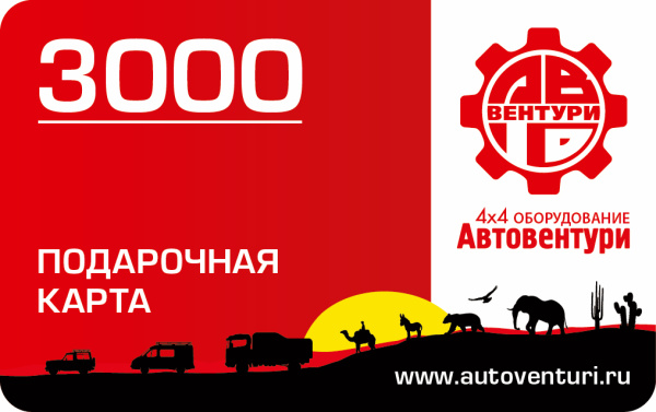Карта подарочная 3000 Карта подарочная 3000