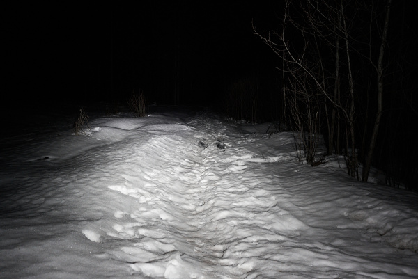 Светодиодная фара водительского света РИФ 127х103х70 мм 80W LED