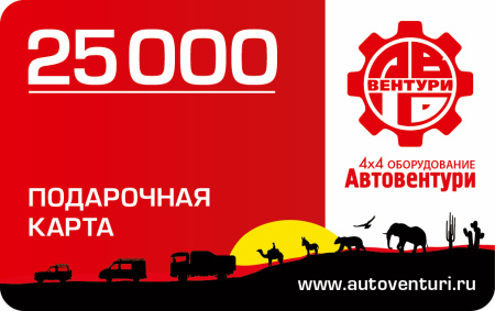 Карта подарочная 25000