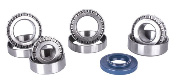 Ремкомплект редуктора моста Спайсер УАЗ полный (4 подшипника+1 сальник)